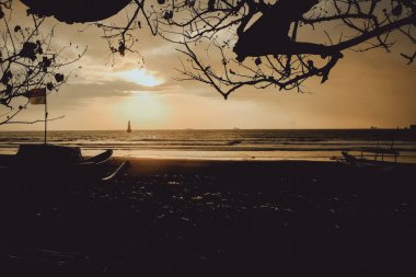 Gün batımında siluet tekne ve ağaç, Cilacap, Endonezya