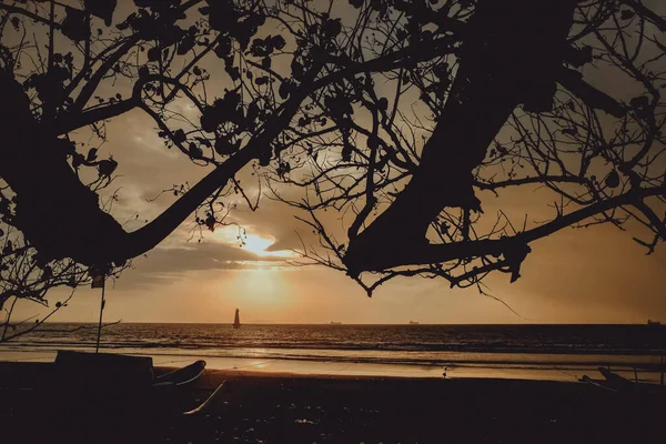 Gün batımında siluet tekne ve ağaç, Cilacap, Endonezya