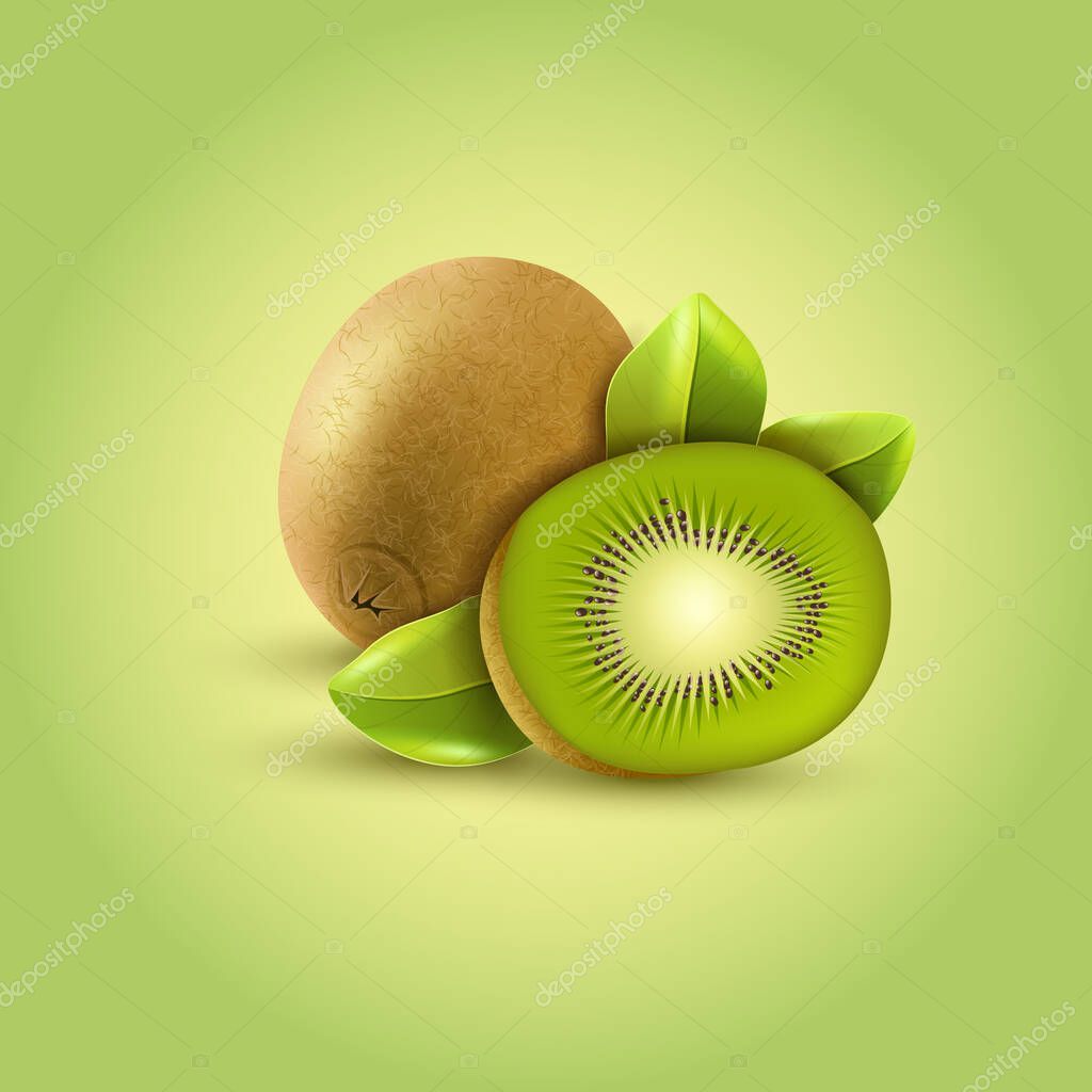 Realistic Fruit of Kiwi isolated on background.Vector illustration