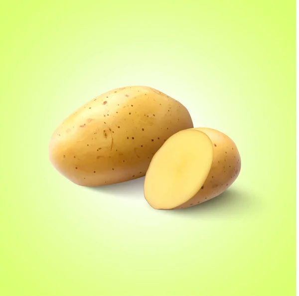 Реалістична Овочева Картопля Різання Ізольовані Фоні Векторні Ілюстрації — стоковий вектор