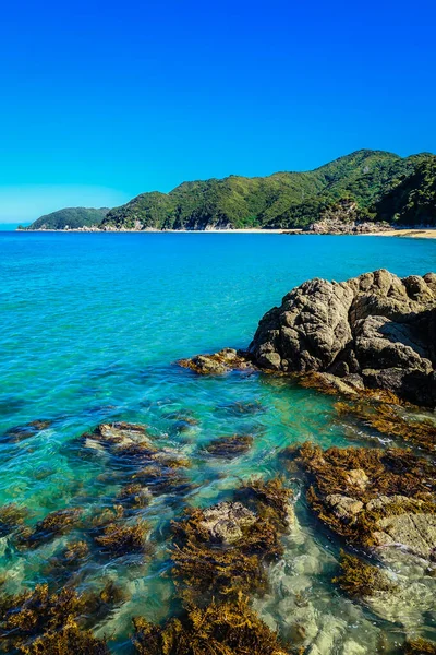 Abel Tasman Sahili Pisti 'nde Çarpıcı Koyun Koyu, Abel Tasman N.P, Tasman, Güney Adası, Yeni Zelanda