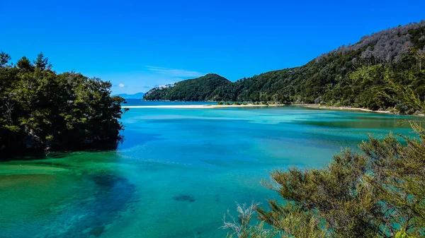 Kleurrijke Bark Bay Hoogwaterweg Abel Tasman Coast Track Abel Tasman — Stockfoto