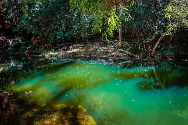 Lovely Green Pool on the bottom of Knox Gorge, Karijini National Park, Western Australia, Australia