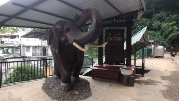 Kandy, Σρι Λάνκα, 25 Νοεμβρίου 2019, θέα του μνημείου του ελέφαντα στο κέντρο — Αρχείο Βίντεο