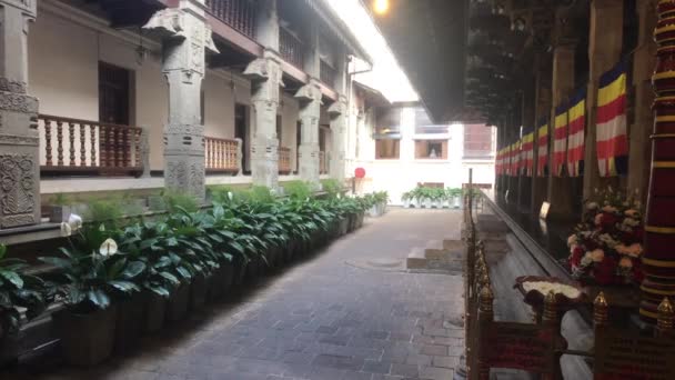 Kandy, Σρι Λάνκα, το δωμάτιο με το δόντι του Βούδα στο ναό — Αρχείο Βίντεο