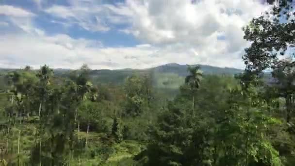 Ella, Sri Lanka, puncak pohon saat mengemudi — Stok Video