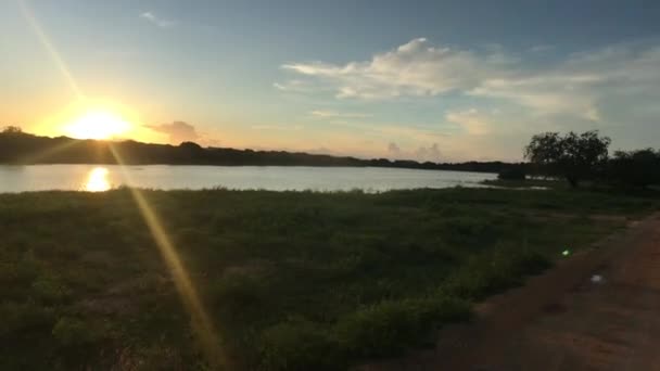 Yala, Sri Lanka, sunrise on the horizon — Stock Video