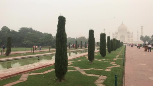 Agra, Índia, 10 de novembro de 2019, Taj Mahal, belos padrões na grama — Vídeo de Stock