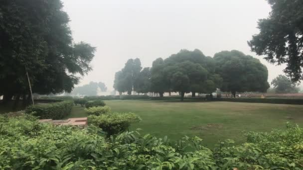 Nueva Delhi, India, 11 de noviembre de 2019, hermosos árboles en el contexto de los turistas que caminan — Vídeos de Stock