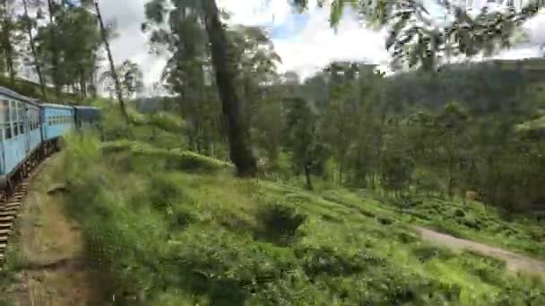Ella, Sri Lanka, le trafic ferroviaire à travers de belles forêts 