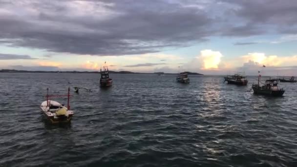 Weligama, Srí Lanka, halászhajók a kikötőben — Stock videók