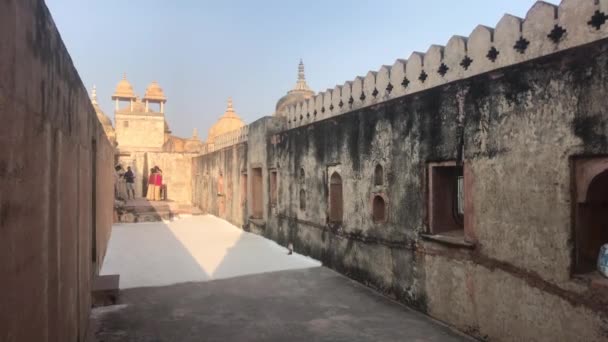 Jaipur, India, 05 de noviembre de 2019, los turistas de Amer Fort exploran las paredes de una antigua fortaleza — Vídeo de stock