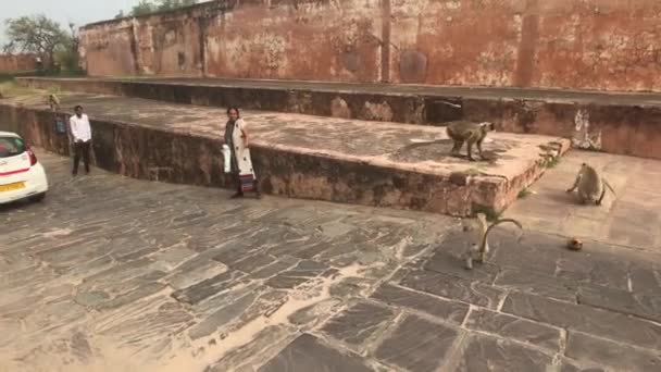Jaipur, India - 2019. november 03.: Jaigarh Fort turisták sétálnak a régi erőd 9. részének udvarán — Stock videók