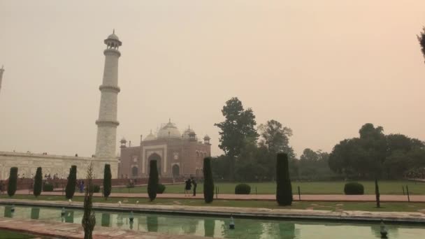 Agra, Ινδία, 10 Νοεμβρίου 2019, Taj Mahal, Τζαμί πύργος από μακριά — Αρχείο Βίντεο