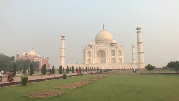 Agra, Ινδία, 10 Νοεμβρίου 2019, Taj Mahal, τζαμί στο πλαίσιο ενός πράσινου γκαζόν με τουρίστες — Αρχείο Βίντεο