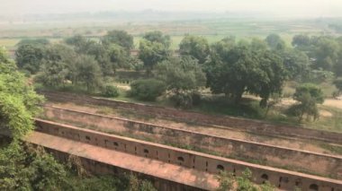 Agra, Hindistan - Agra Kalesi, ufukta eski bir kalenin duvarlarının yanındaki ağaçlar