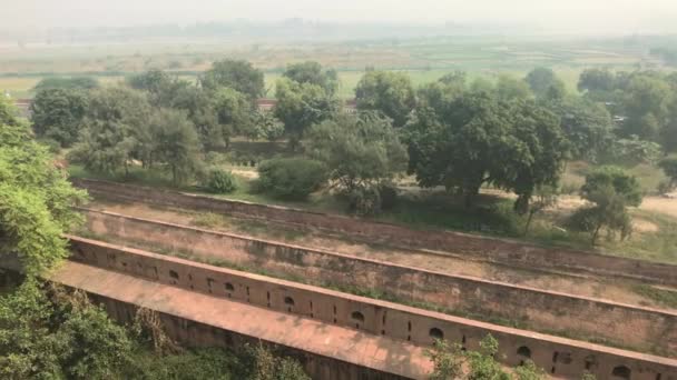 インドのアグラ-アグラ砦、地平線の古い砦の壁の近くの木 — ストック動画