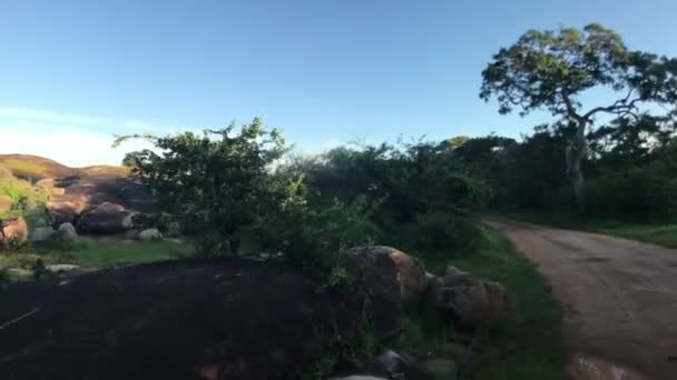 Yala, Srí Lanka, természet és gyönyörű ég — Stock videók
