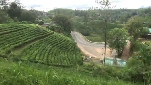 Ella, Sri Lanka, the road near the hill — Stockvideo