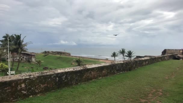 Galle, Sri Lanka, ave voladora sobre fortaleza — Vídeos de Stock