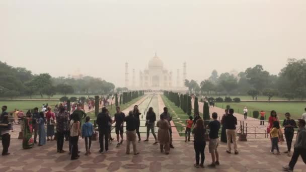 Agra, India, 10 november 2019, Taj Mahal, toeristen verzamelen zich bij het kanaal bij de moskee — Stockvideo