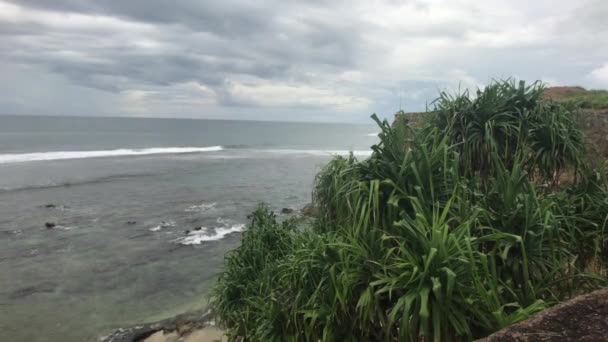 Galle, Sri Lanka, green bushes on the wall of the fortress — Stock Video