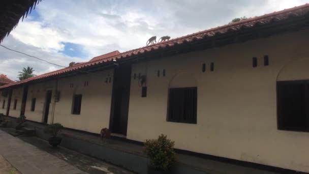 Kandy, Sri Lanka, un edificio residencial en los terrenos del templo — Vídeos de Stock