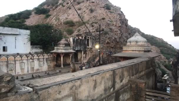 Jaipur, Inde Galta Ji, singes descendent des montagnes dans le village — Video