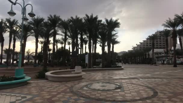 Eilat, Israel - φοίνικες στο φόντο του βραδινού ηλιοβασιλέματος — Αρχείο Βίντεο