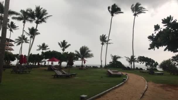 Hikkaduwa, Sri Lanka, Indische Oceaan met uitzicht op het strand hotelterrein — Stockvideo