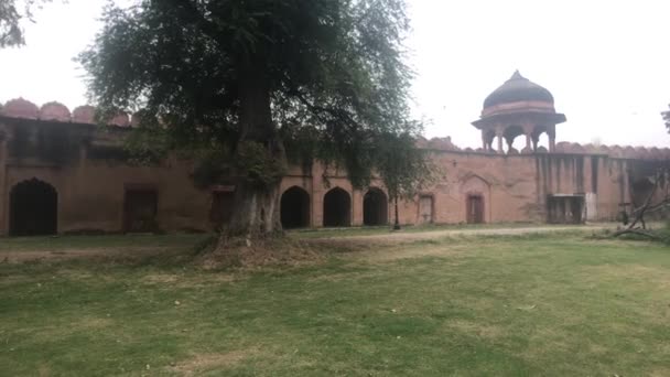 Нью-Дели, Индия, 11 ноября 2019 года, укрепленная стена старой красной крепости — стоковое видео