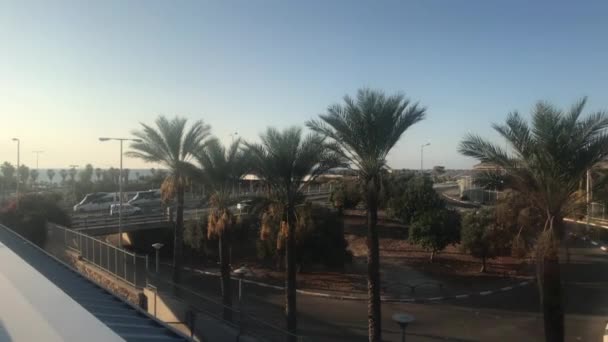 Haifa, Israel - palmeiras contra o céu azul — Vídeo de Stock