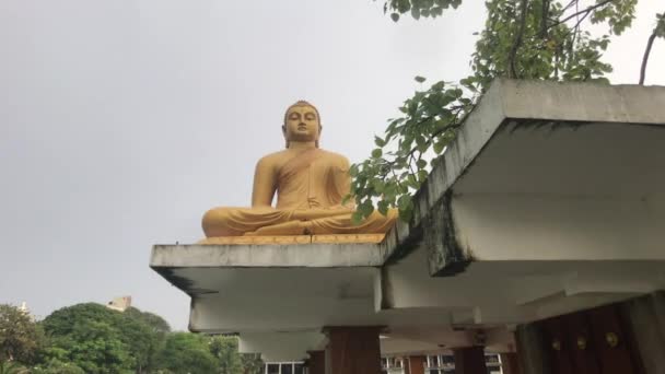 Colombo, Srí Lanka, 22. listopadu 2019, 61 Srí Jinarathana Rd, Gangaramaya Temple Buddha na střeše — Stock video