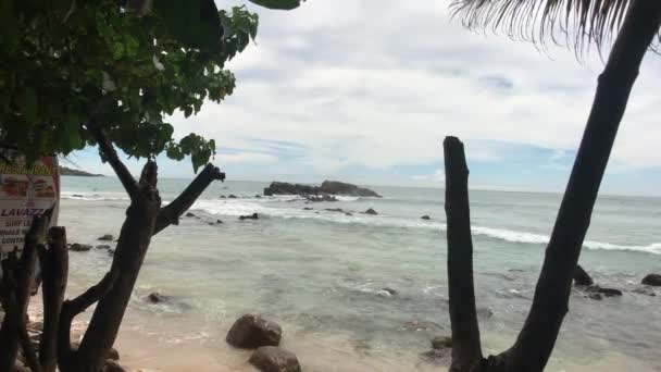 Mirissa, Sri Lanka, sahili ve deniz manzaralı bir körfez. — Stok video