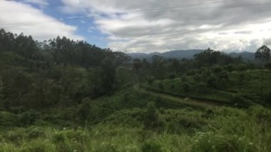 Ella, Sri Lanka, güzel bir gökyüzü ve tarlalar manzarası.