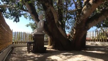 Kandy, Sri Lanka, November 25, 2019, Bahiravokanda Vihara Buddha Statue view of the Buddha under the tree through the fence