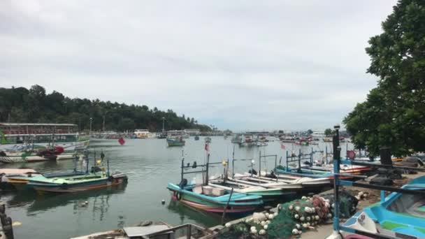 Mirissa, Sri Lanka, fiskebåtar i hamnen vid piren från fjärran — Stockvideo