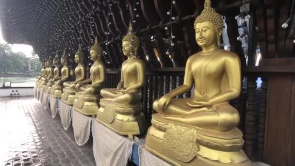 Colombo, Sri Lanka, 22 de noviembre de 2019, 61 Sri Jinarathana Rd, Gangaramaya Temple golden Buddhas in a row — Vídeo de stock