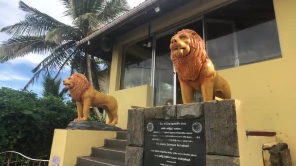 Matara, Sri Lanka, November 25, 2019, sculptures of tigers at the temple — Stok video