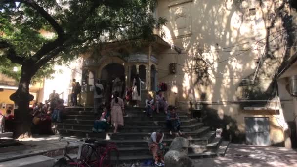 Jaipur, India - 03 november 2019: Pelgrims zitten onder een boom deel 3 — Stockvideo
