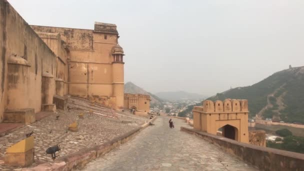 Jaipur, India, 05 november 2019, Amer Fort, toeristen kijken van bovenaf naar de horizon — Stockvideo