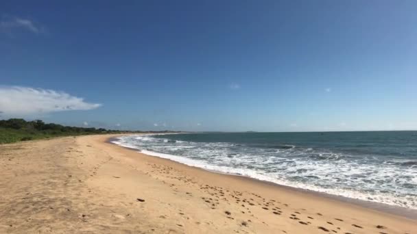 Yala, Sri Lanka, belle côte de l'océan Indien — Video