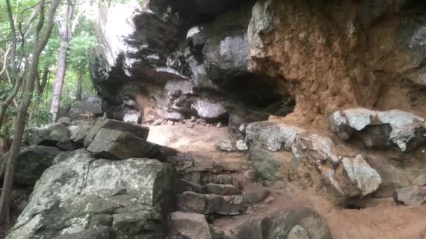 Sigiriya, Sri Lanka, collapsed rock in the forest — 비디오