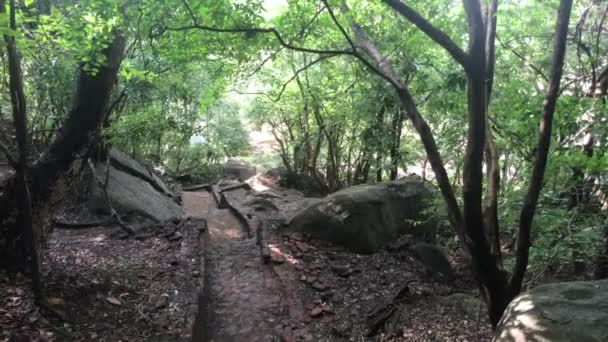 Sigiriya, Sri Lanka, um caminho abandonado na floresta — Vídeo de Stock