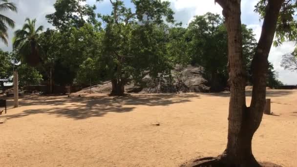 Mihintale, Sri Lanka, beautiful view of the trees — Stock Video