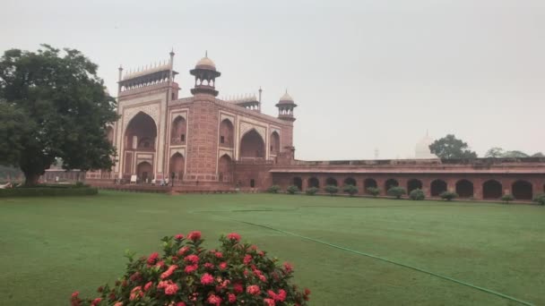 Agra, India, 2019. november 10., Taj Mahal, virágok egy mező és mecset hátterében — Stock videók