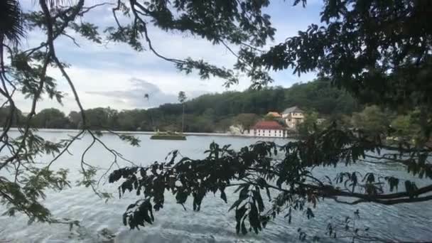 Kandy, Sri Lanka, vue sur le lac à travers les arbres — Video