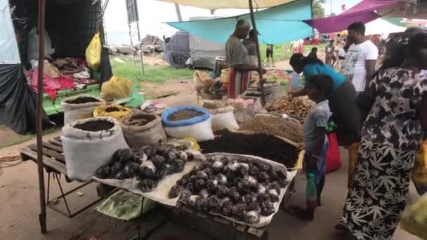 Negombo, Srí Lanka, 23. listopadu 2019, turisté na místním trhu část 4 — Stock video