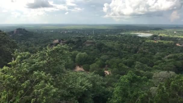 Mihintale, Sri Lanka, copas das árvores ao vento — Vídeo de Stock