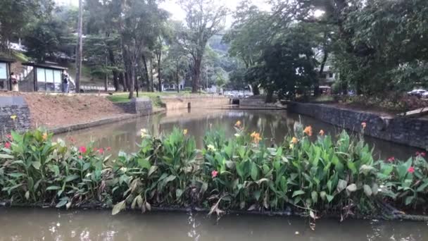 Kandy, Sri Lanka, pont avec des fleurs le long du lac — Video